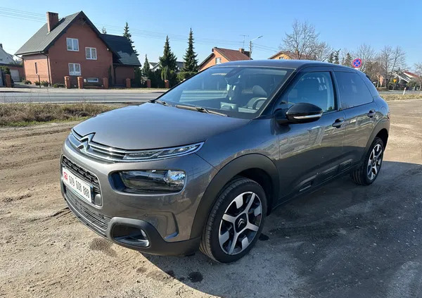 samochody osobowe Citroen C4 Cactus cena 26900 przebieg: 101000, rok produkcji 2019 z Turek